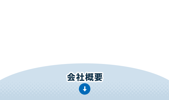 bnrhalf_company_cover